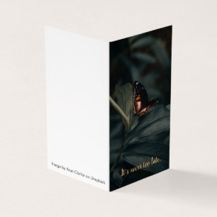 F. Citation de Scott Fitzgerald