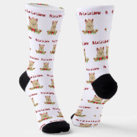 Fa La La Llama