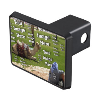 Fab Fun Vacation Create Your Own Trailer Hitch Cover