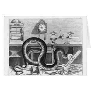 Fable of the Snake and the Files