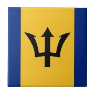 fabulous barbados tile