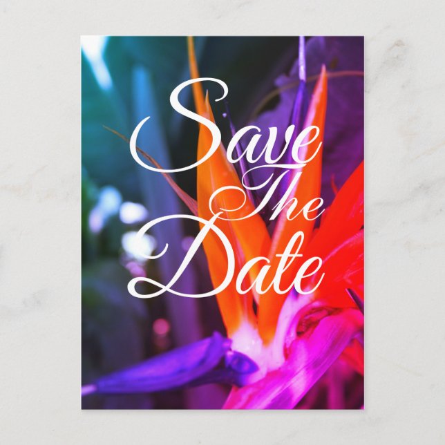 Fabulous Bird Of Paradise Wedding Save The Date Announcement Postcard (Front)