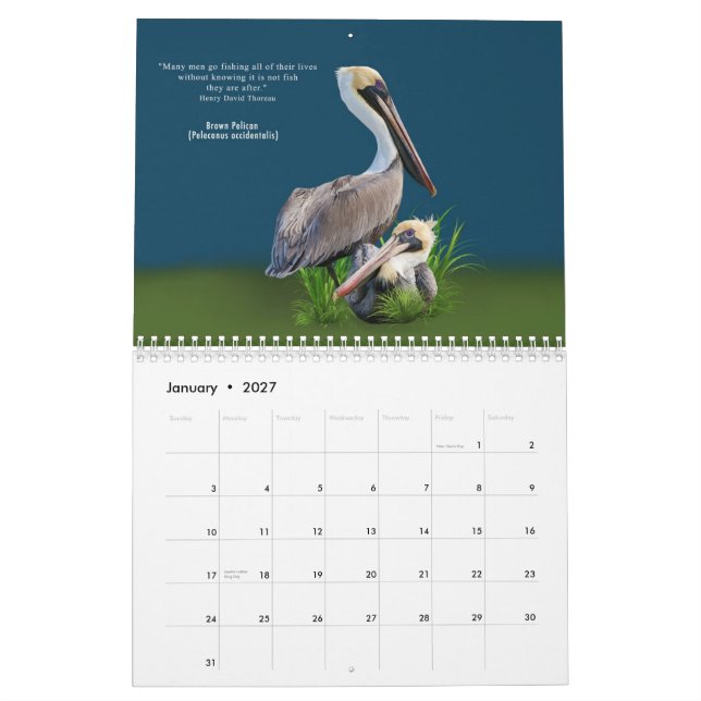 Fabulous Birds 12 Month Calendar (Jan 2027)