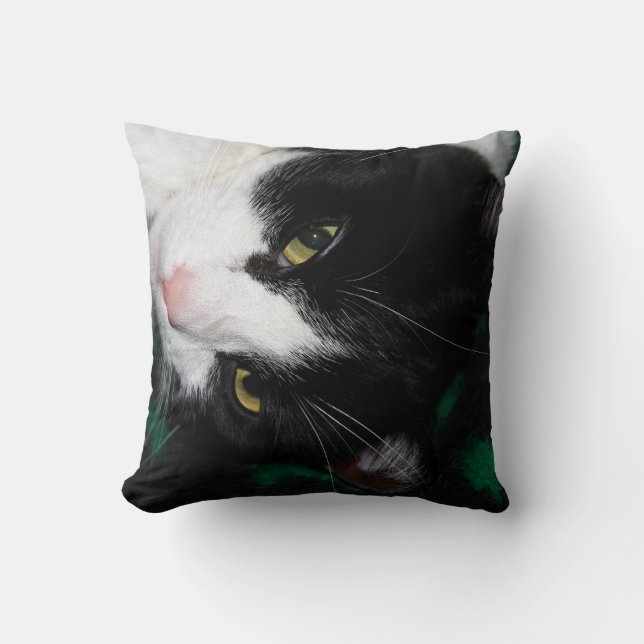 Fabulous Cats! Throw Pillow (Front)