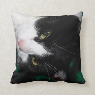 Fabulous Cats! Throw Pillow