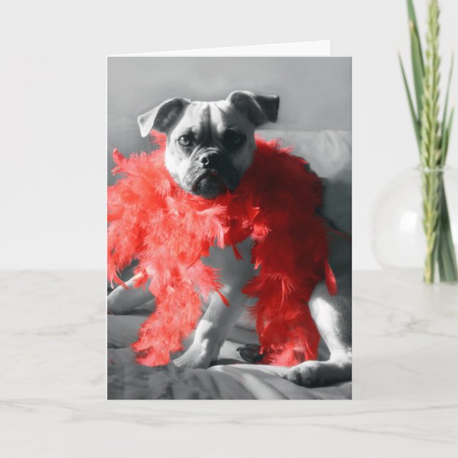 fabulous christmas holiday card (Front)