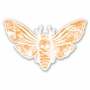 Fabulous Orange Death's Head Moth