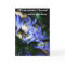 Fabulous Son Mothers Day Card