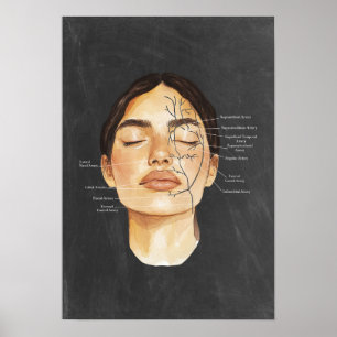 Face Anatomy Blood Vessels Anatomical Art Poster