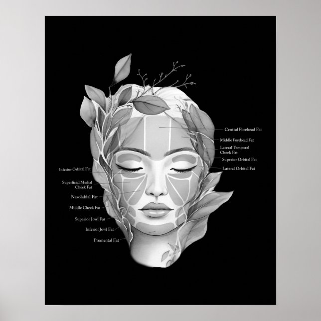 Face Anatomy Facial Fat Pad Beautician Decor (Front)