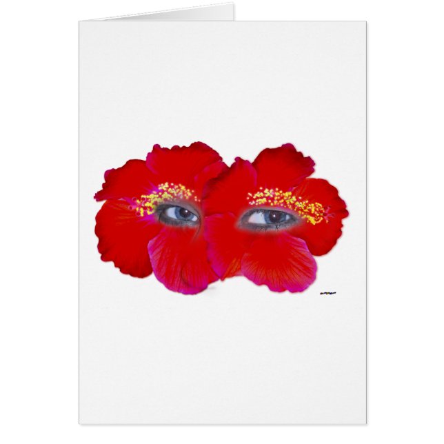 Face d'Hibiscus - Rouge (Devant)