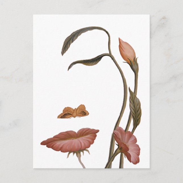 Face Flower Illusion Postcard (Front)