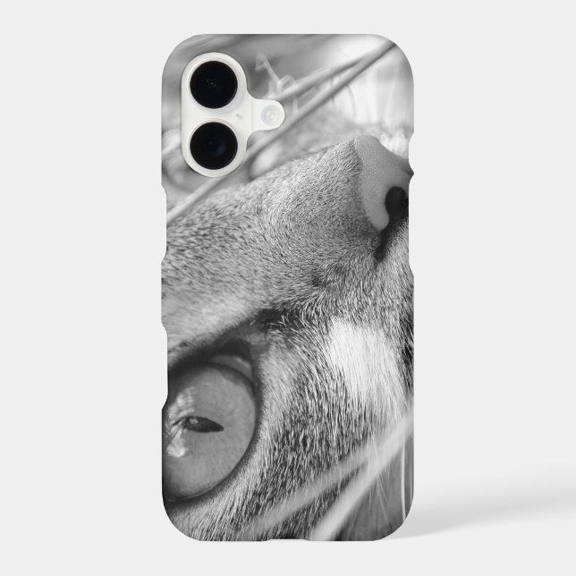 Face of a Cat (Back)