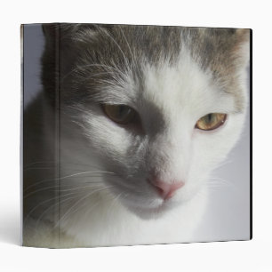 Face of a cat binder