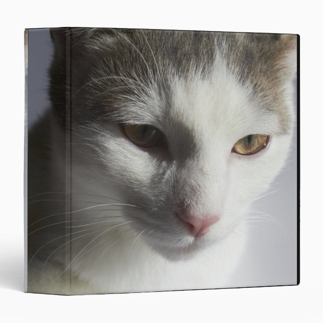 Face of a cat binder (Front/Spine)
