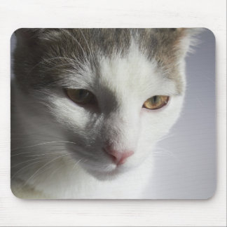 Face of a cat mouse pad