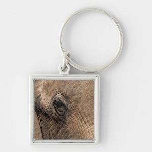 Face of an Elephant Keychain