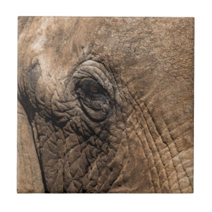 Face of an Elephant Tile