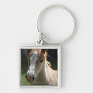 face of foal keychain