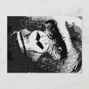 Face of Gorilla Postcard