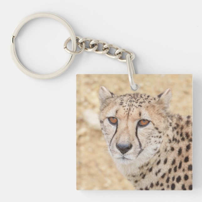 Face of the Wild: Cheetah's Intense Look Keychain (Front)