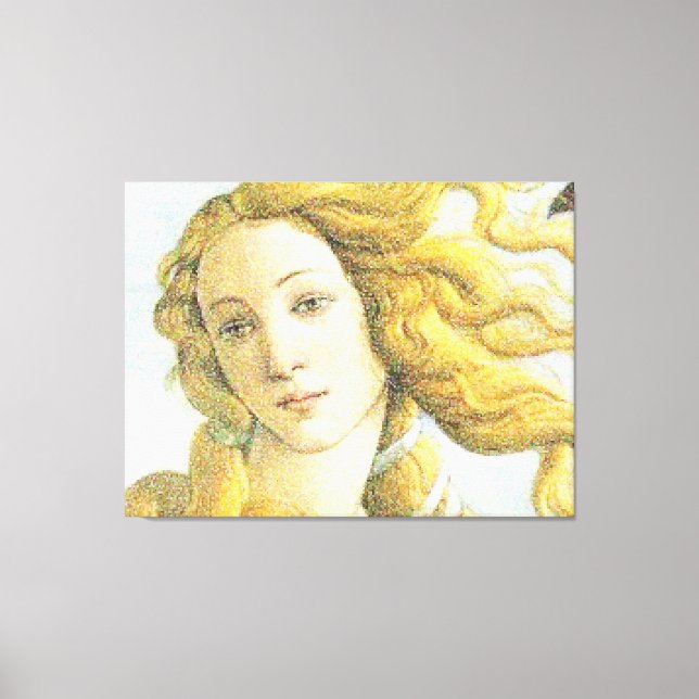 Face of Venus Canvas Print (Front)