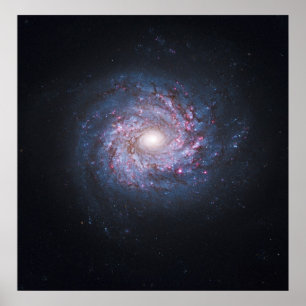 Face On Spiral Galaxy NGC 3982 from the Hubble Poster