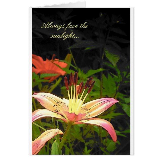 Face The Sunlight (Front)