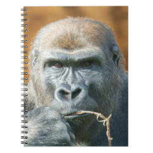 Face-to-Face with a Gorilla Notebook