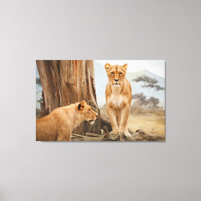 Face To Face With Lions Wall Art (Front)
