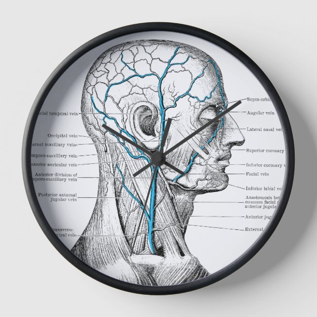 Face veins muscles vintage anatomy clock (Front)