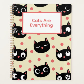 Faces amusantes de chats