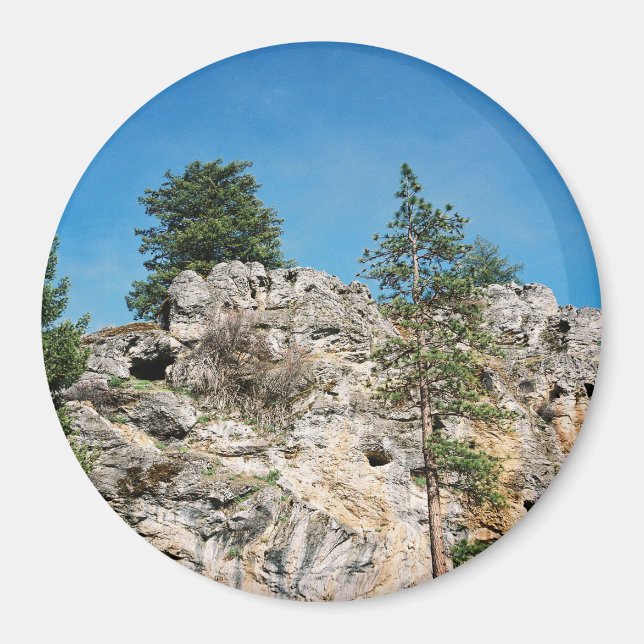 Faces.... Magnet (Front)