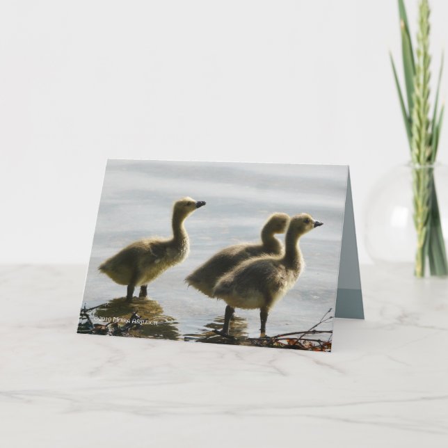 Facing the Light Card (Front)