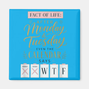 Fact Of Life Calendar Says What On Earth Humour Magnet