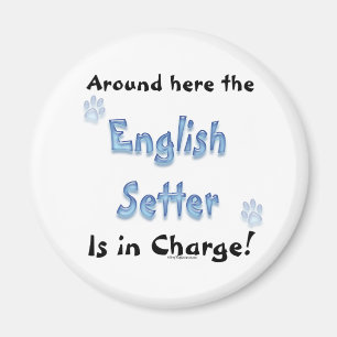 Facture de réglage en anglais - Magnet
