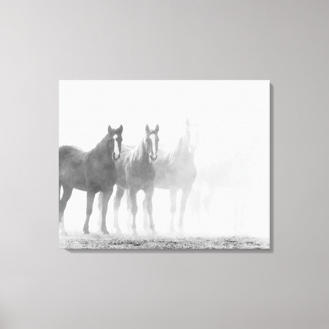 Faded Black and White Horses Triptych Canvas Print (Front)