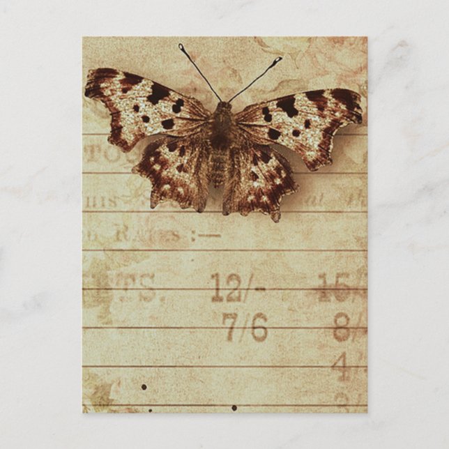 Faded distressed sepia butterfly notepad numbers postcard (Front)