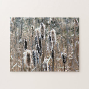 Faded Fluffy Cattails In Spring Nature  Jigsaw Puzzle