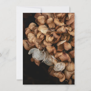 Faded Hydrangea Card