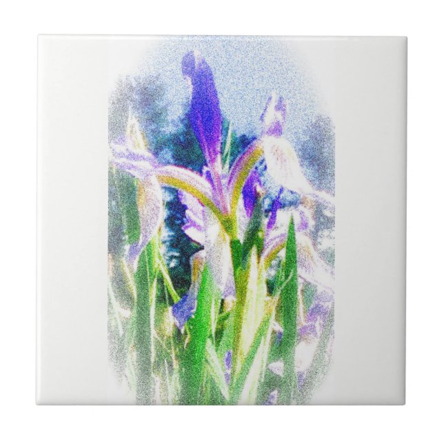 Faded Iris Tile (Front)