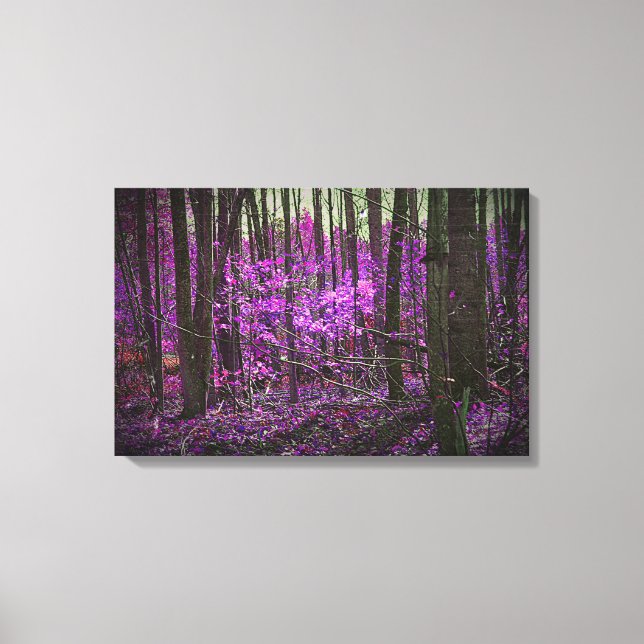 Faded Lavender Dreams Canvas Print (Front)