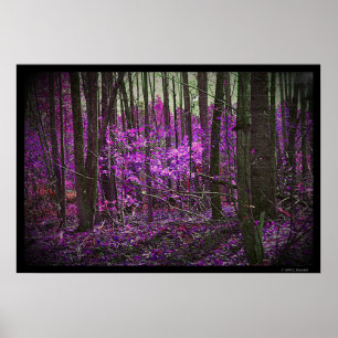 Faded Lavender Dreams poster