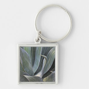 Faded Succulant Detail, 2017 Keychain