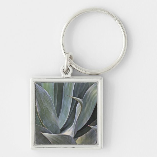 Faded Succulant Detail, 2017 Keychain (Front)