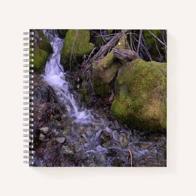Fae's waterfall...... notebook (Front)