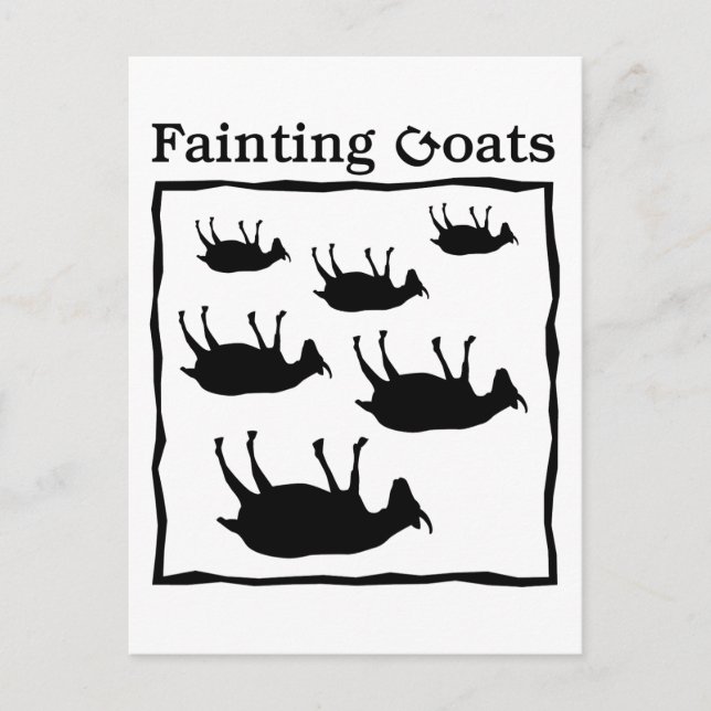 Fainting Goats Postcard (Front)