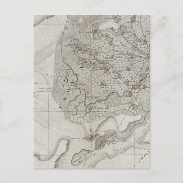 Faioum, Egypt Postcard (Front)