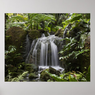 Fairchild Tropical Botanic Garden is a 33 ha (83 Poster