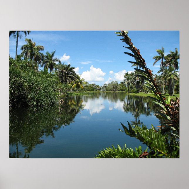 Fairchild Tropical Botanic Garden Poster (Front)